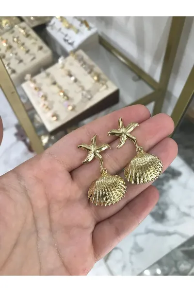 Deniz Yıldızı ve Deniz Kabuğu Model Küpü