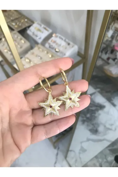 Özel Seri Yıldız Model Küpe