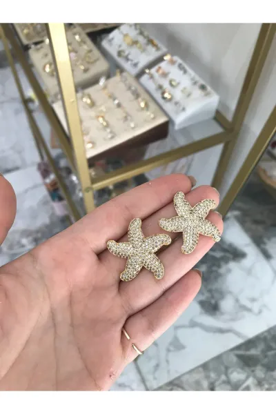 Taş Detaylı Yıldız Küpe