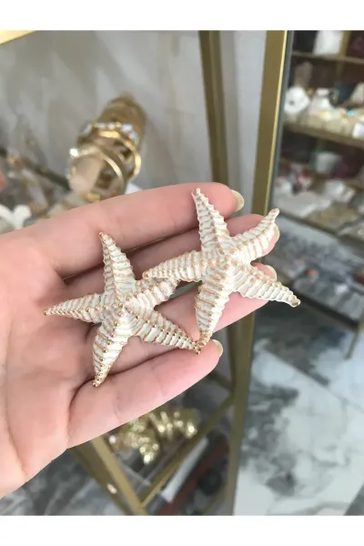 Marka Model Yıldız Küpe