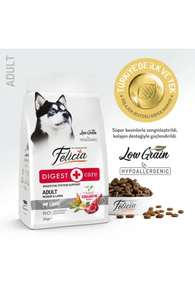 3 Kg Yetişkin Kuzulu M/Large Az Tahıllı Breed HypoAllergenic Köpek Maması
