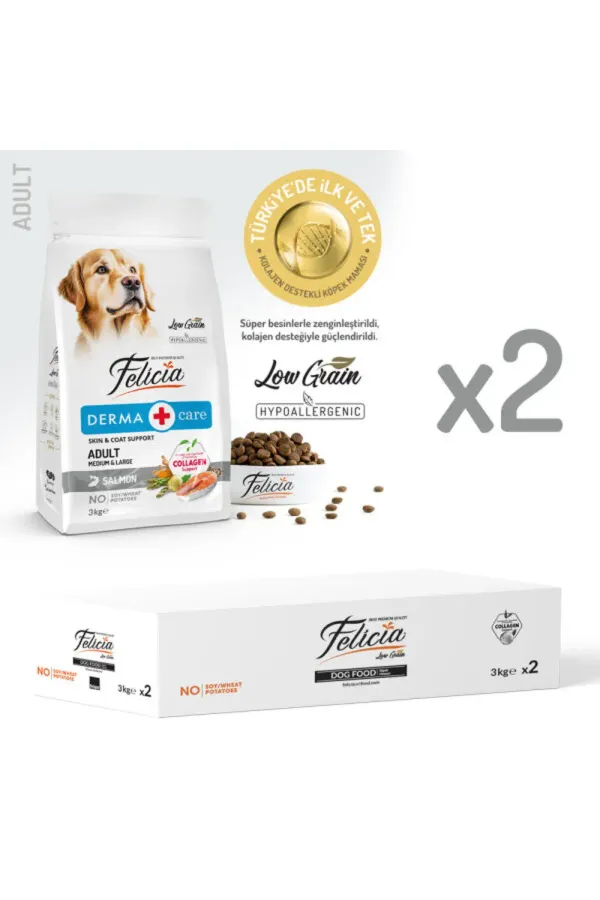 Derma Care Somonlu Orta ve Büyük Irk Yetişkin Köpek Maması 6Kg