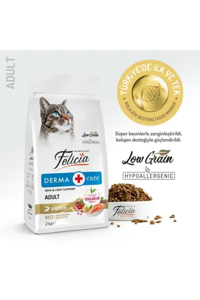 2 Kg Yetişkin Somonlu Az Tahıllı HypoAllergenic Kedi Maması