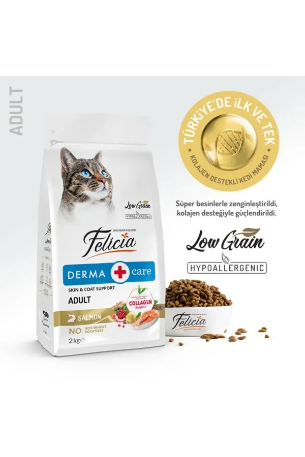 2 Kg Yetişkin Somonlu Az Tahıllı HypoAllergenic Kedi Maması