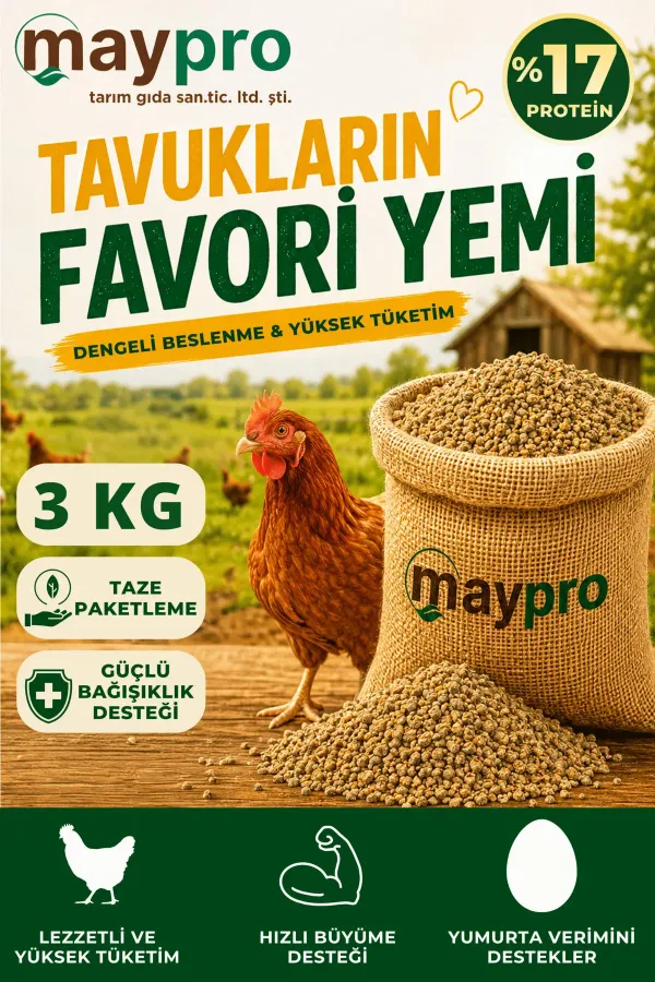 %17 Proteinli Granül Tavuk Yemi, Yumurta Verimini Destekleyen Dengeli Beslenme Yemi 3 KG