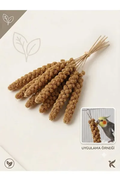 Organik Dal Darı, Doğal Daldarı, Enerji Verici, Kuş Yemi 100 gr