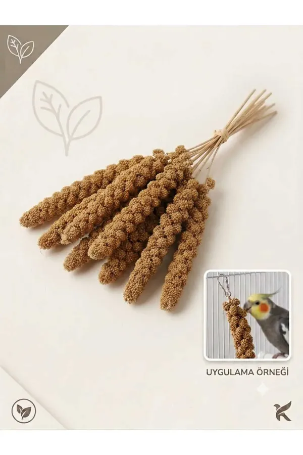 Organik Dal Darı, Doğal Daldarı, Enerji Verici, Kuş Yemi 100 gr