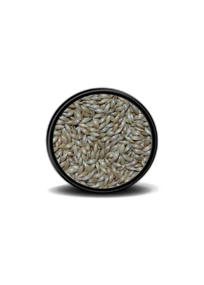 Sade Kanarya Yemi (Aspur) 1kg