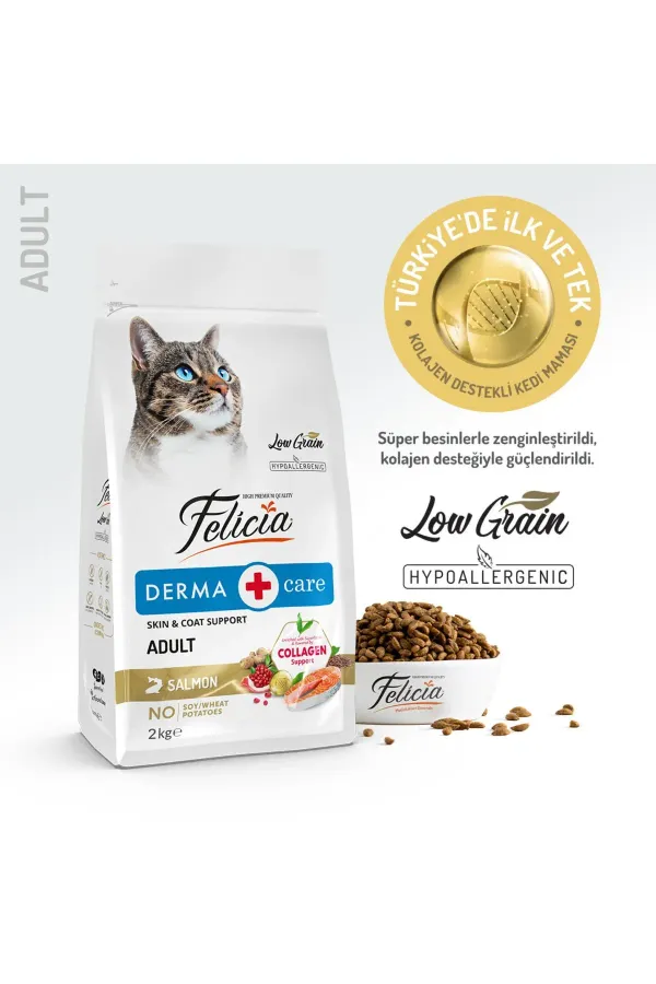 Kolajen Destekli Hipoalerjenik Somonlu Yetişkin Kedi Maması 2KG