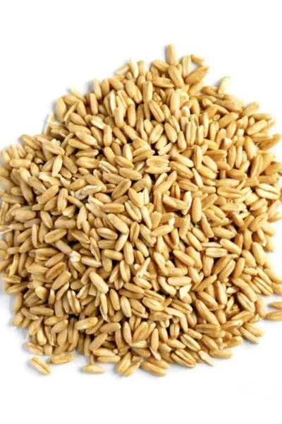 Kuşlar İçin Soyulmuş Yulaf 1 kg