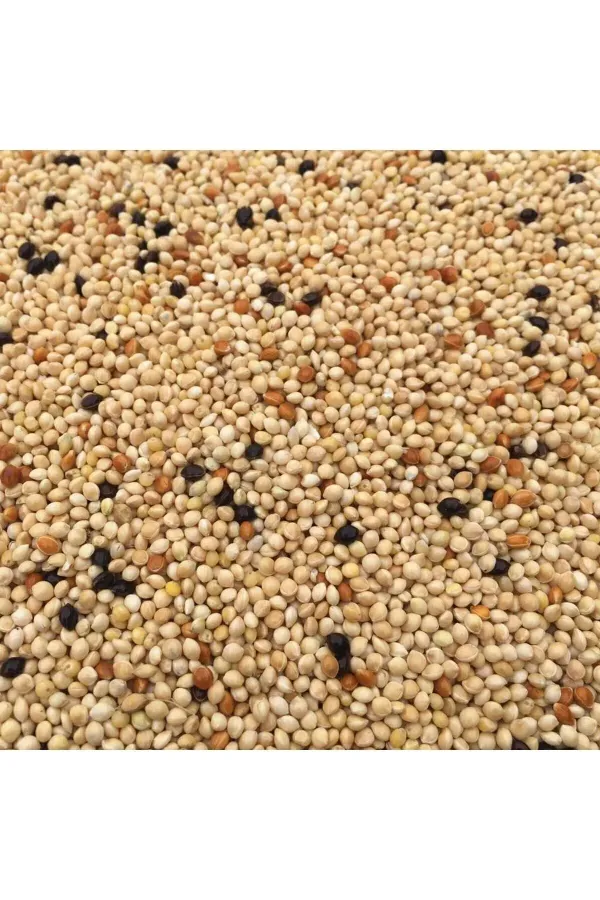 Muhabbet Karışık Kuş Yemi 2.5 Kğ