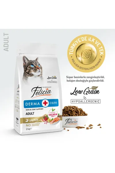 Kolajen Destekli Hipoalerjenik Somonlu Yetişkin Kedi Maması 2KG