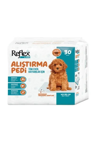 Köpek Alıştırma Pedi
