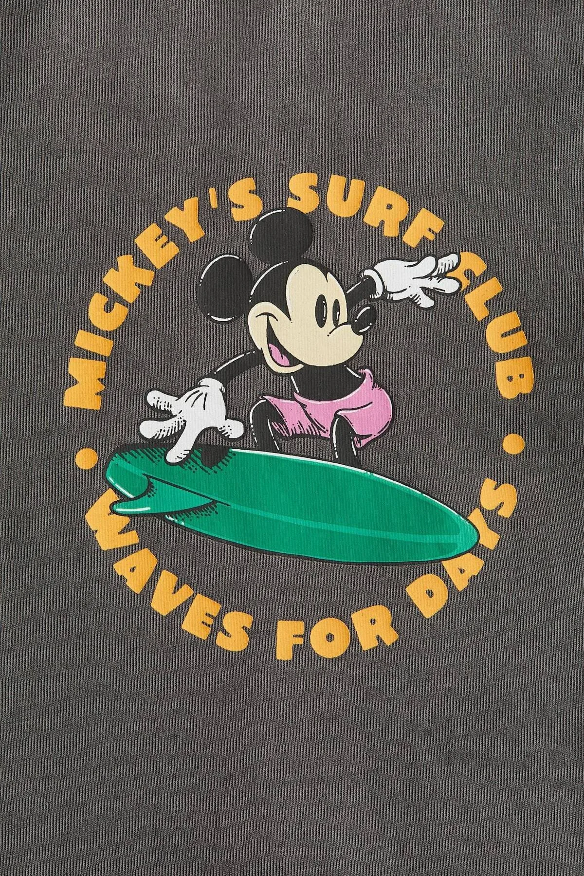 4269011491