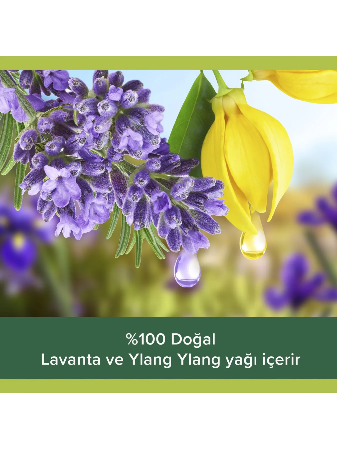 Palmolive Aromatik Duş Jeli 1000 ml Nötr pH ile Cildinizi Korur ve Rahatlatır