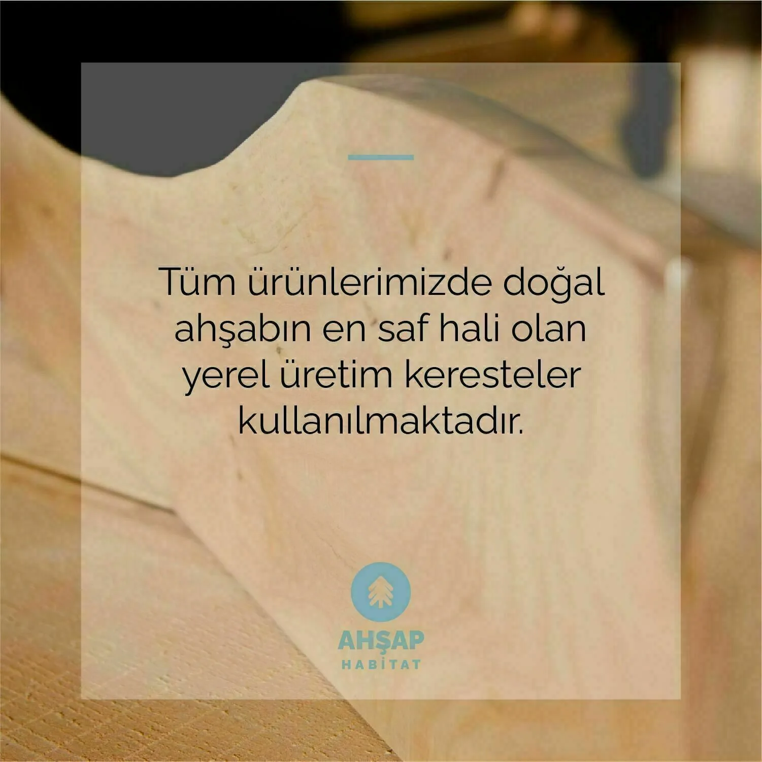 SugarMaple Kütük Masa