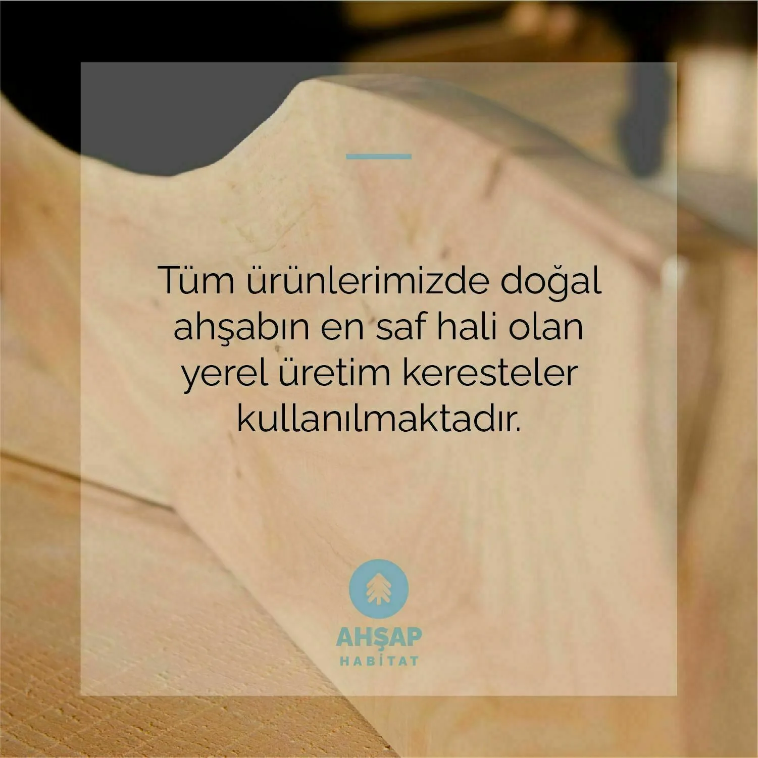 Snowbell Ağaç Orta Sehpa